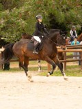 DSC01139 DSC01139