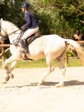 DSC03278 DSC03278