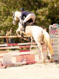 DSC03279 DSC03279