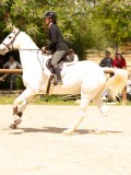 DSC02928 DSC02928