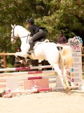 DSC02929 DSC02929