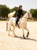 DSC02942 DSC02942