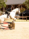 DSC02943 DSC02943