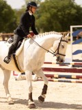 DSC02945 DSC02945