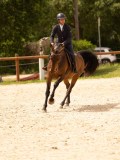 DSC02433 DSC02433