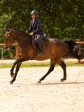 DSC02434 DSC02434
