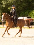 DSC01658 DSC01658