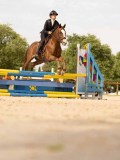 DSC01668
