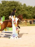 DSC03787 DSC03787