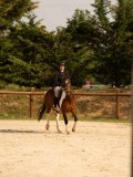 DSC03788 DSC03788