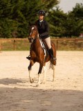DSC03789 DSC03789