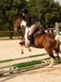DSC03790 DSC03790