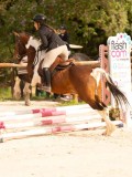 DSC03794 DSC03794