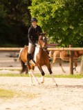 DSC03798 DSC03798