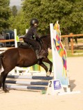 DSC03454 DSC03454