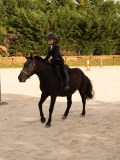 DSC03456 DSC03456