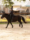DSC03458 DSC03458