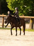 DSC03465 DSC03465