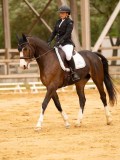 DSC00528 DSC00528