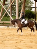 DSC00538 DSC00538