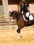 DSC00557 DSC00557