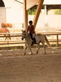 DSC07750