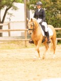 DSC08825 DSC08825