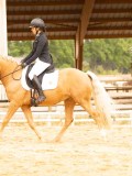 DSC08845 DSC08845