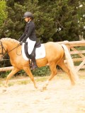 DSC08846 DSC08846