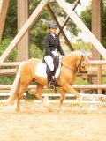 DSC08855 DSC08855