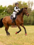 DSC01338 DSC01338