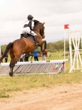 DSC01343 DSC01343