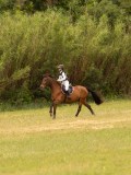 DSC01345 DSC01345