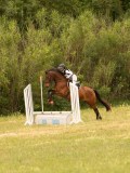 DSC01346 DSC01346