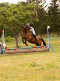 DSC01351 DSC01351