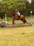 DSC01352 DSC01352