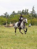 IMG_2076 IMG_2076