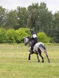 IMG_2096 IMG_2096
