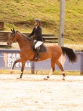 DSC01638 DSC01638