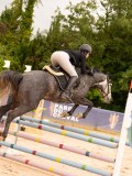 DSC00748 DSC00748