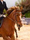 DSC01526 DSC01526