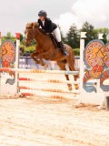 DSC01528 DSC01528