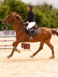 DSC01529 DSC01529