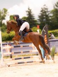 DSC01534 DSC01534