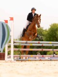 DSC01535 DSC01535