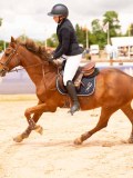 DSC01540 DSC01540