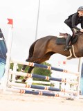 DSC04192 DSC04192