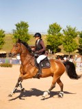 DSC04666 DSC04666