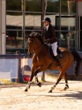 DSC04684 DSC04684