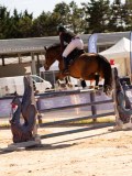 DSC04686 DSC04686